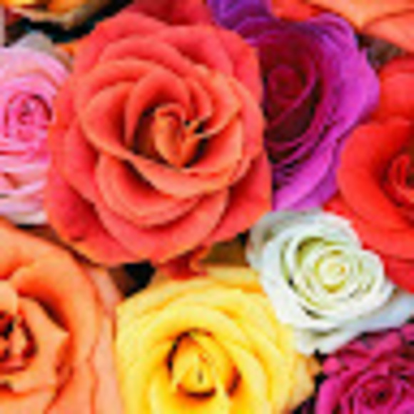 asmamujahid10